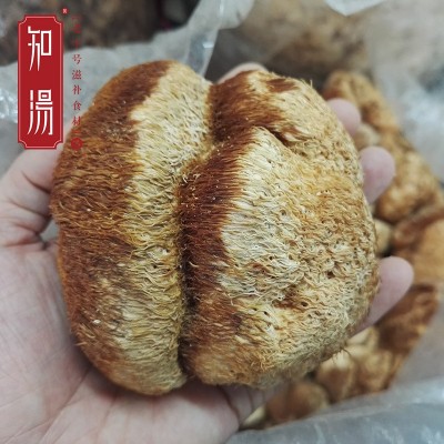 东北特产长白山猴头菇 猴头蘑长毛猴头菌类批发图2