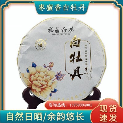 批发福鼎白茶2013年春茶白牡丹饼 枣蜜香茶饼老白茶原 产地太姥洋