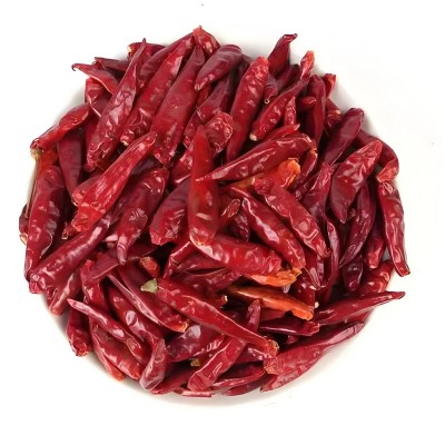 厂家批发河南新一代天鹰小椒特香微辣节图5