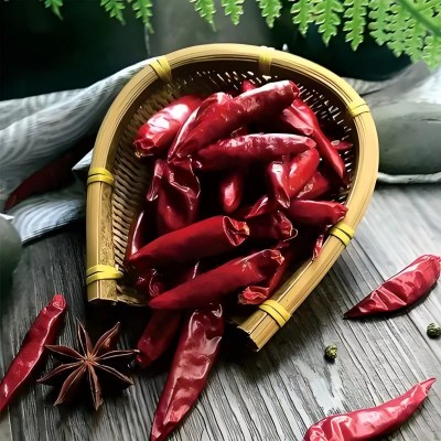 厂家批发河南新一代天鹰小椒特香微辣节图3