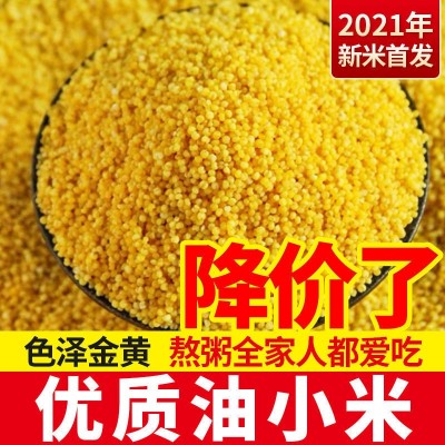 山西黄小米油小米新米编织袋5斤装特产五谷杂粮香糯米油厚小米粥图3