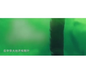 农业科普小知识-辣椒