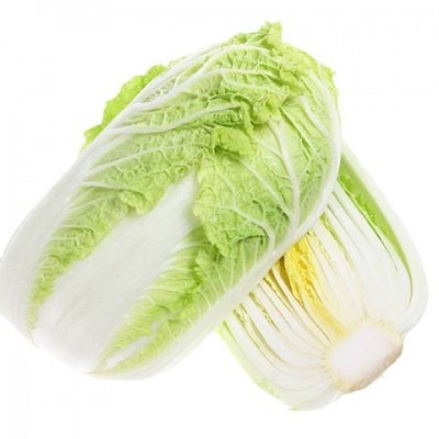 供应绿色大白菜