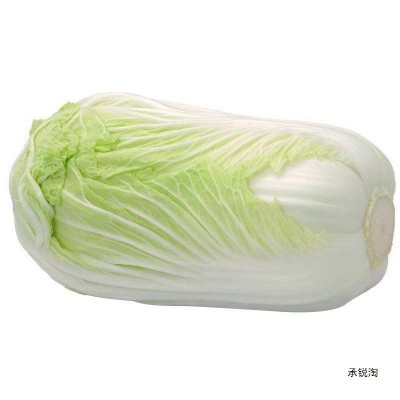 供应本地大白菜图3