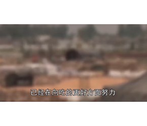 中国与印度的差距到底有多大？对比两国农业，结果却让人疑惑#知识π计划-知识抢先知#