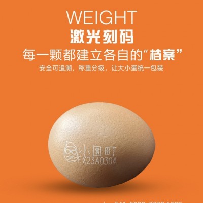 端午节员工福利可生食无抗富硒高锌叶黄素鲜鸡蛋图4
